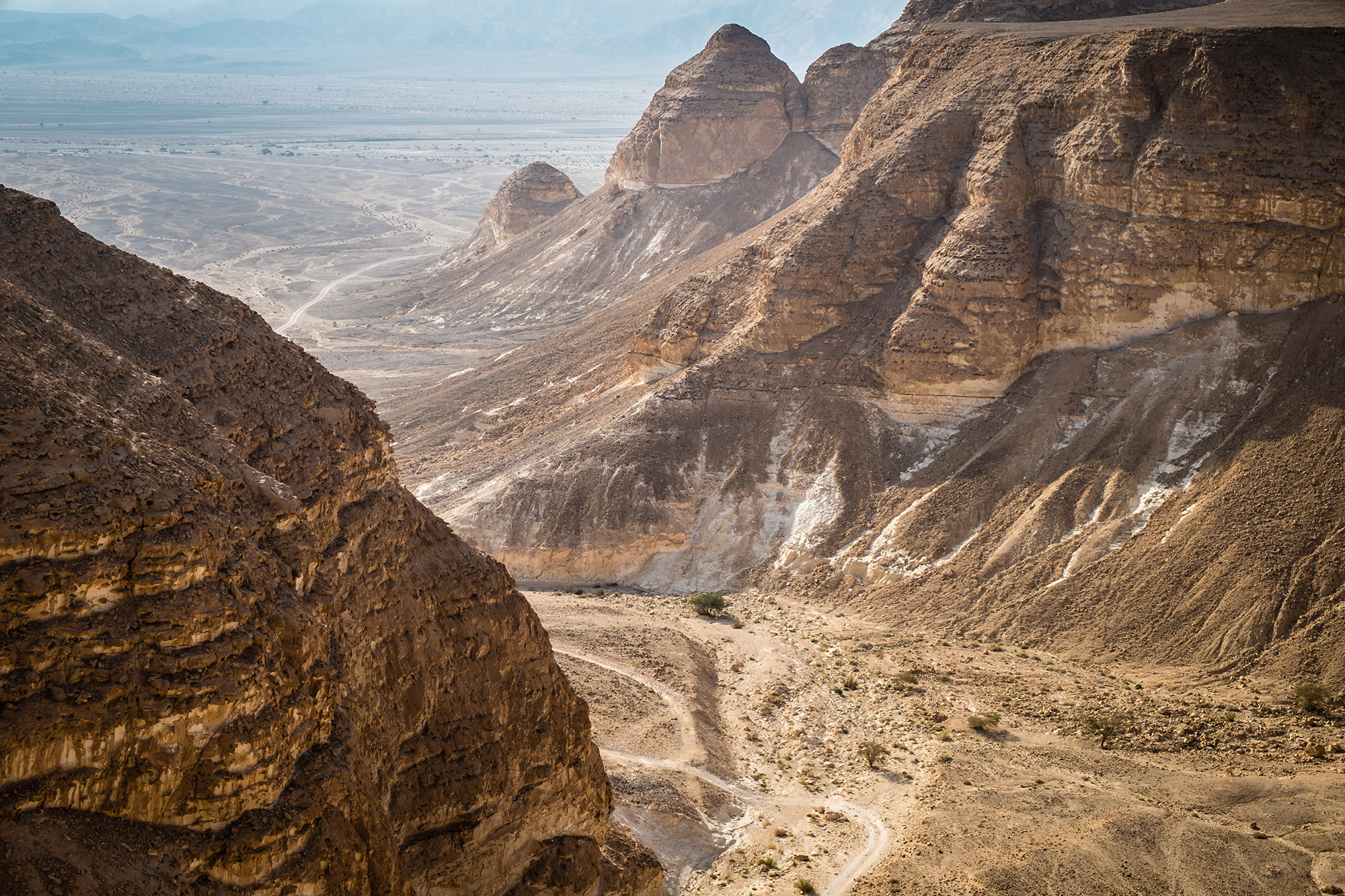 Vardit Canyon in der Negev- Wüste